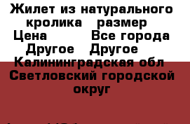 Жилет из натурального кролика,44размер › Цена ­ 500 - Все города Другое » Другое   . Калининградская обл.,Светловский городской округ 